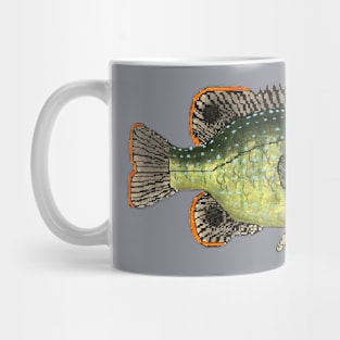 Green Sunfish Mug